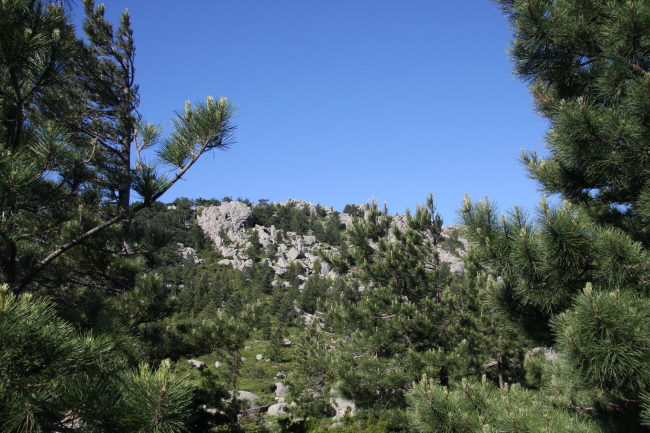 89 Wanderung zur Punta di a Vacca Morta