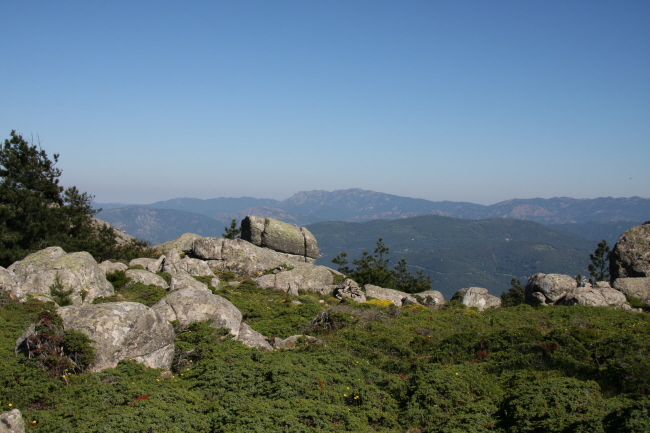 90 am Col de Mela