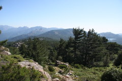 92 vom Wiesenplateau