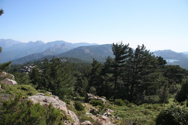 92 vom Wiesenplateau