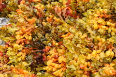 12 Algen - Lebensraum fr Schnecken