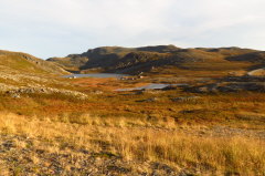163 zwischen Sandfjord und Mehamn