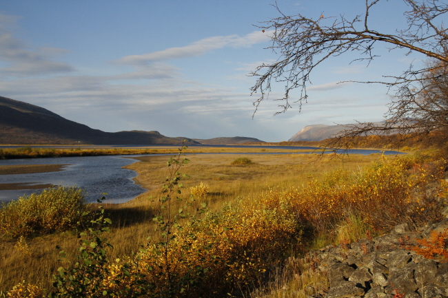 178 Tanamunningen Naturreservat