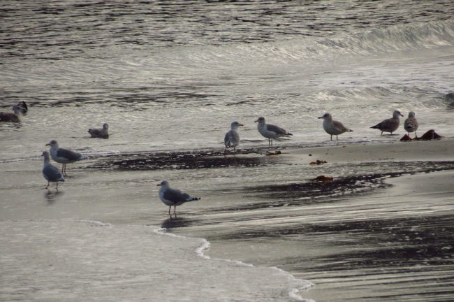 201 Mven am Strand