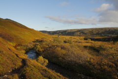 217 das Bachbett des Bukkedalselva