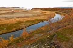 21 Wanderung Stabbursnes NP - Vogelschutzgebiet