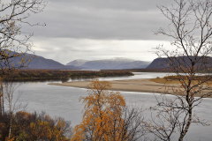 238 Tanaelva und Stangnestind