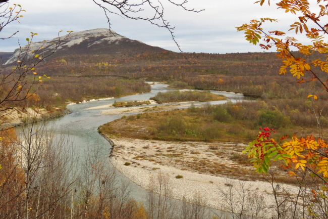 246 Brselvdalen