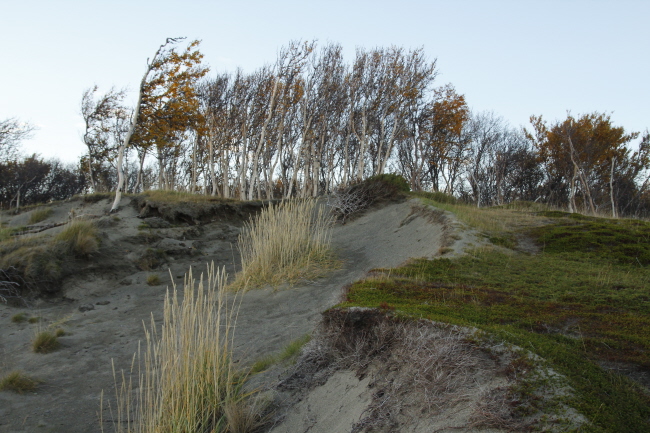 30 im Stabbursnes Nationalpark
