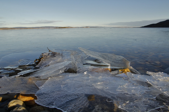 36 Mini-Eisschollen am Strand