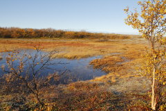 53 Roddenes Naturreservat - kleiner Moorsee