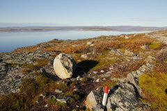 65 Wanderpfad im Naturreservat