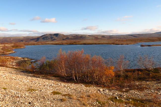 89 das Brselvfjell - gespickt mit kleinen Seen