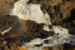 96 Regenbogen in der Gischt des Adamsfoss