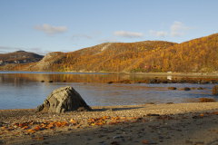 98 am Ufer des Adamsfjord