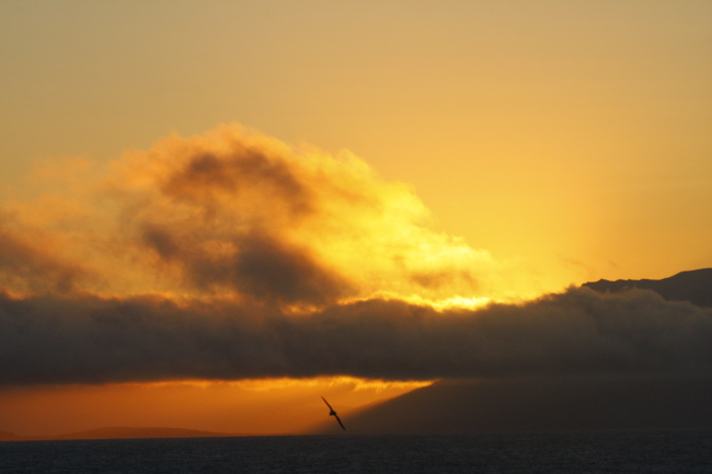 122 Abendstimmung an der Ostkste Grnlands
