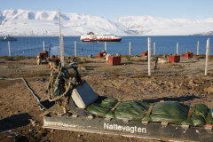 132 ein bungshundeschlitten