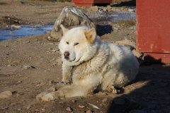 135 ein Sonnenbad