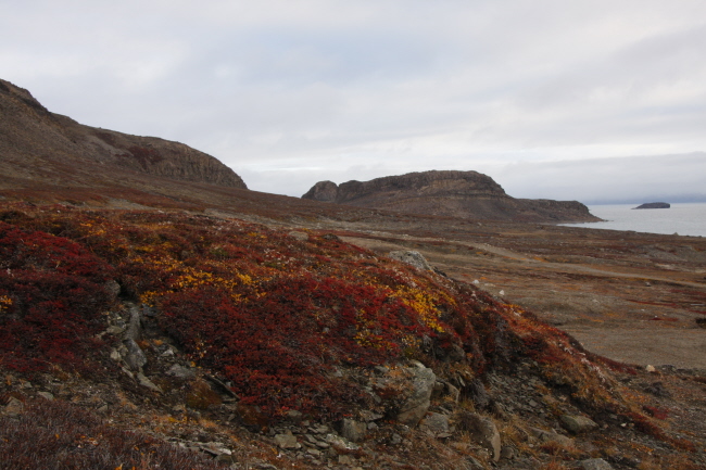 38 herbstliche F�rbung im Fjell