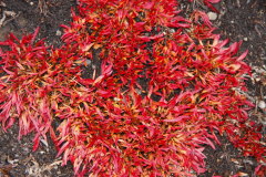 41 leuchtende Farben