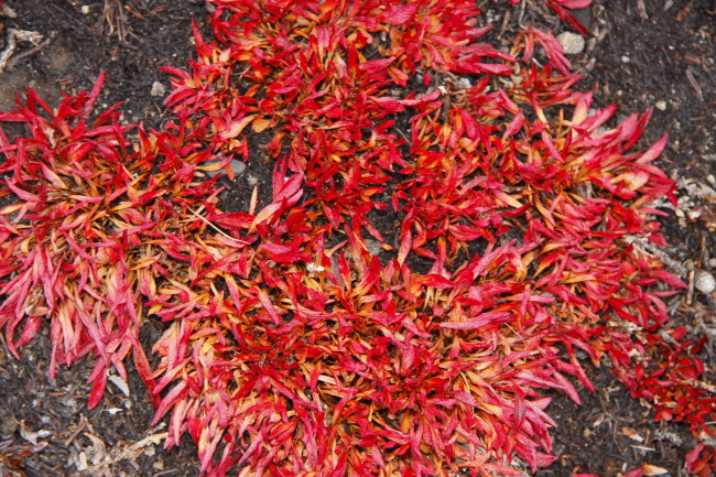 41 leuchtende Farben