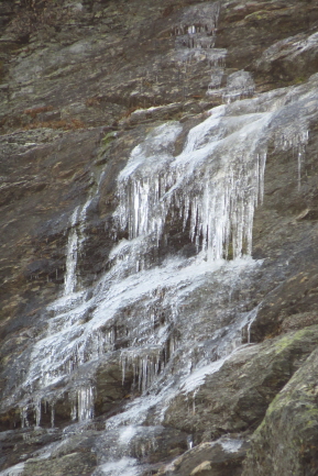 105 die ersten Winterboten - gefrorener Wasserfall
