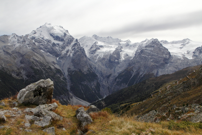 11 herrlicher Blick zum Ortler 3905m
