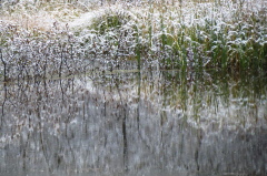 143 Winterzauber