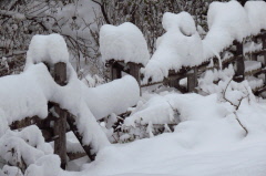 148 der Zaun trgt dicke Schneehauben