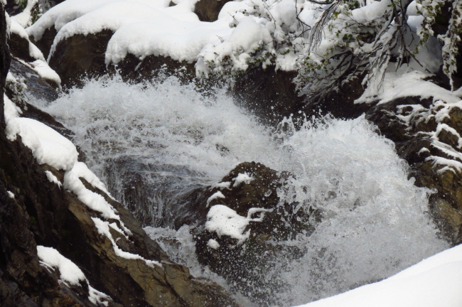156 sprudelnder Zufrittbach