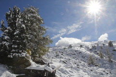 177 Landschaft im Winterschlaf