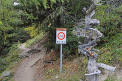 2 Abzweig Gold-See - hinauf durch ein Waldstck