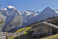 35 obere Tartscher Alm vor dem Ortler