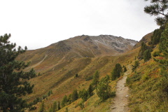 6 Herbstlandschaft des Vinschgau
