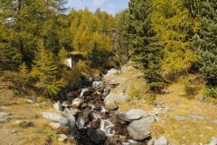 95 es pltschert und gluckert