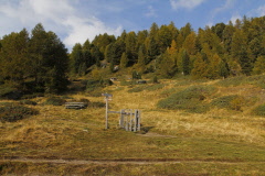 96 vorbei an herbstlich gefrbten Almwiesen