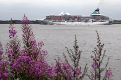 63 MS ARTANIA Elb abwrts 14-07-2011