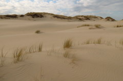 Wstenfeeling an der Wanderdne Rbjerg Mile