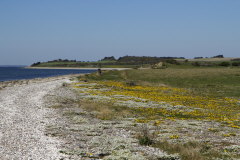 Naturschutzgebiet vor Liv Tap - Bltenteppich im April