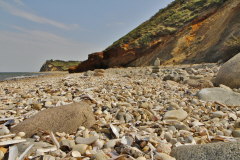 Strand berst mit Muscheln und Molersteinen