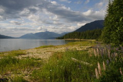wunderschn gelegener Campground am Upper Arrow Lake