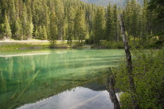 am glasklaren olivgrnen Olive Lake