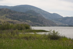 am Vaseux Lake im Okanagan Valley