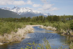 im Robert W-Starrat Wildlife Sanctuary