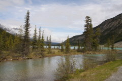 Beginn der Wanderung zum Chephren Lake