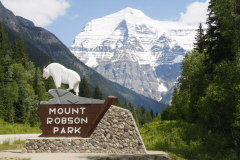hier beginnt der Mount Robson Prov-Park