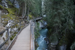 auf schmalen Holzstehen am Canyon entlang