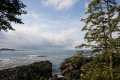 entlang des Wild Pacific Trails
