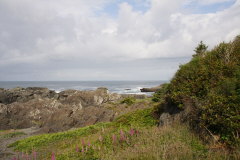 Blick vom Wild Pacific Trail