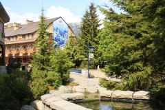 Whistler